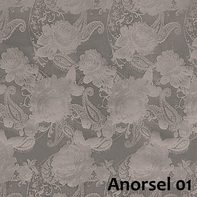 Anorsel-01.